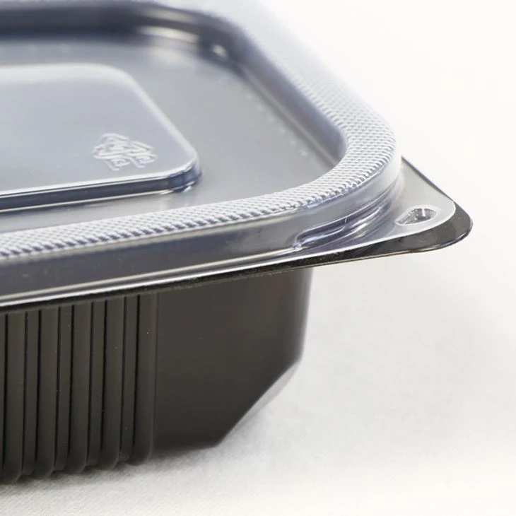 Corona Food Container Plastic Box 4 Compartment Indispensable Part Of Our Lives