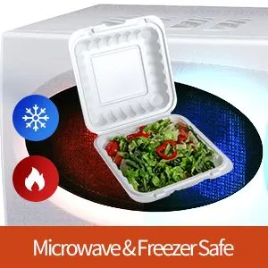 Одноразовые экологически чистые ланч-боксы