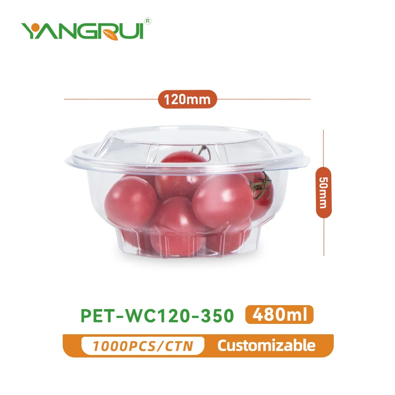clear food box with lid